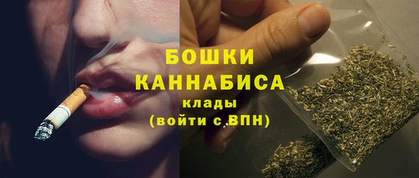твердый Бородино