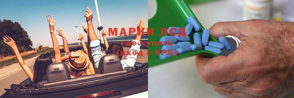 твердый Бородино
