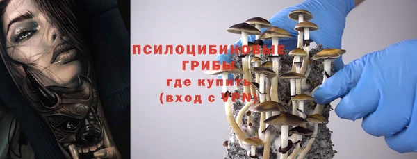 амф Богданович