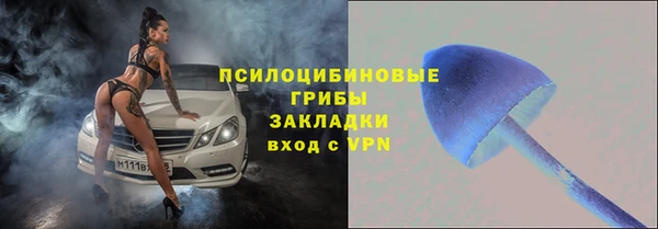 твердый Бородино