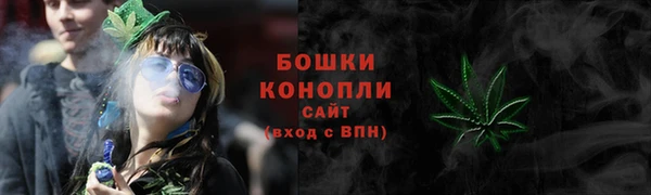 твердый Бородино