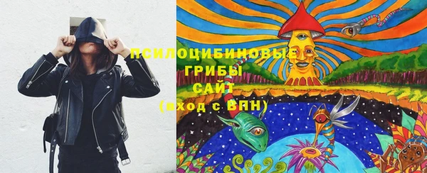 твердый Бородино